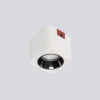 Chandelle_grille_light_surface_mounted_single_white