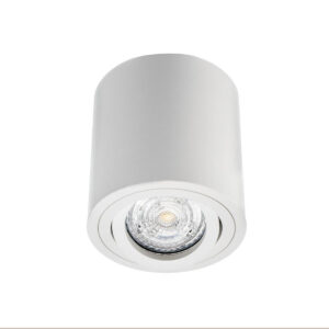 chandelle surface mounted down light white